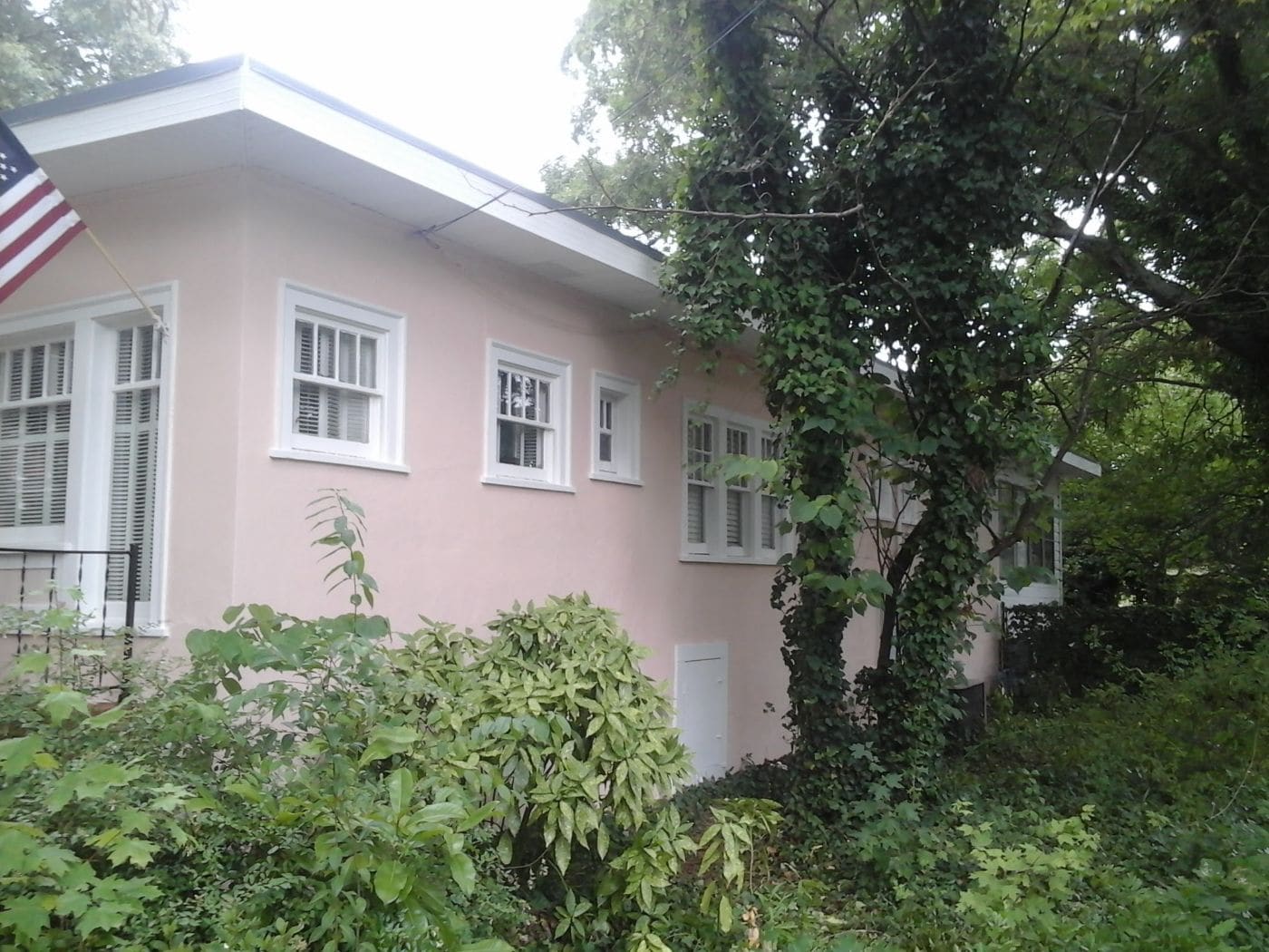 Pink single-story house with white shutters and windows, surrounded by green vegetation and ivy