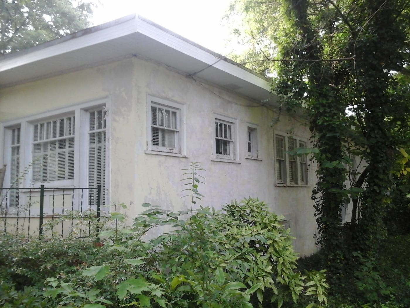 White single-story house with shuttered windows surrounded by overgrown vegetation and climbing ivy
